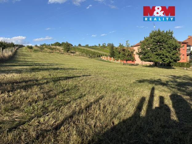 Prodej pozemku pro bydlení, Borkovany, 7835 m2