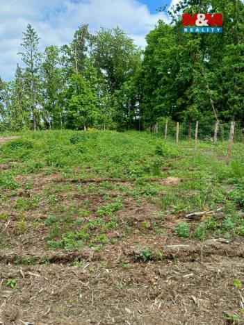 Prodej lesa, Hrazany - Klisinec, 9634 m2