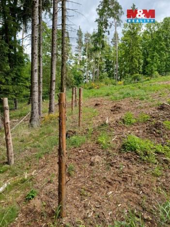 Prodej lesa, Hrazany - Klisinec, 9634 m2