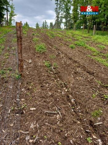 Prodej lesa, Hrazany - Klisinec, 9634 m2