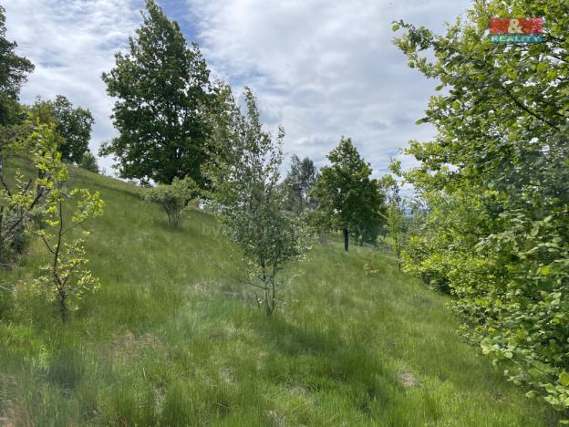 Prodej pozemku pro bydlení, Chrastava - Horní Vítkov, 1416 m2