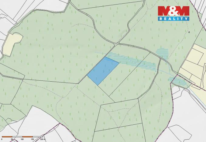 Prodej lesa, Milevsko - Klisín, 154293 m2