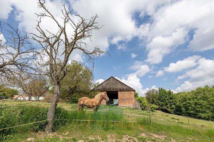 Prodej zemědělské usedlosti, Velká Bíteš, 850 m2