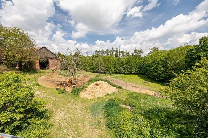 Prodej zemědělské usedlosti, Velká Bíteš, 850 m2
