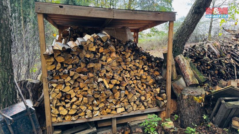 Prodej lesa, Borohrádek, 7342 m2