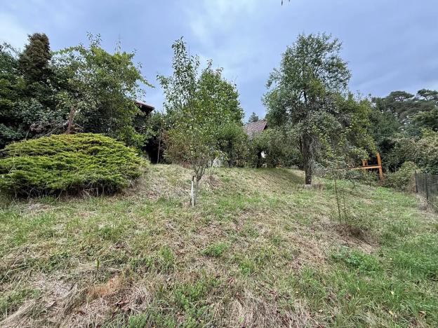 Prodej chaty, Nespeky, 50 m2