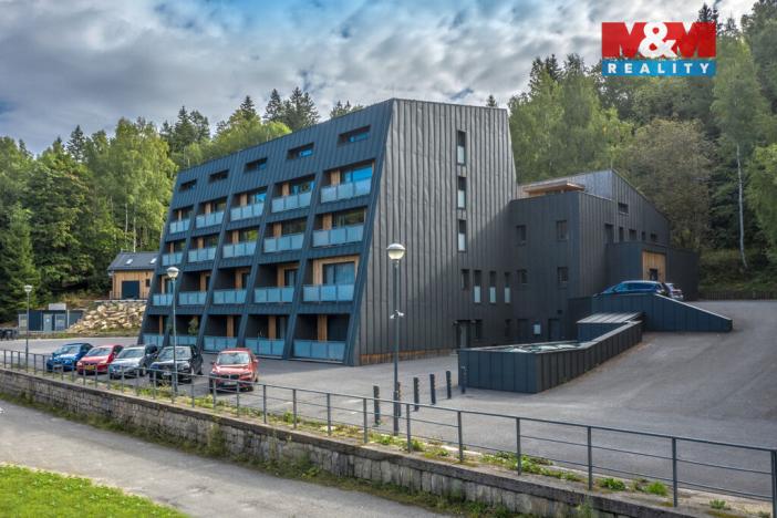 Prodej bytu 1+kk, Janov nad Nisou, 29 m2