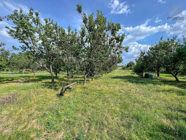 Prodej vícegeneračního domu, Ořechov, Komenského, 349 m2