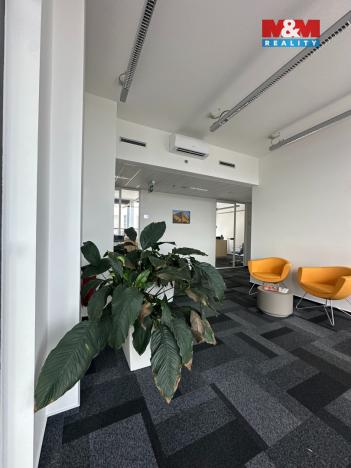 Pronájem kanceláře, Brno, Trnitá, 171 m2