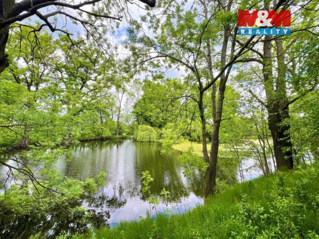 Prodej rybníku, Žulová, 7142 m2