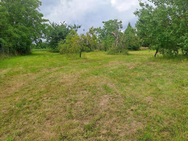 Prodej pozemku, Češov, 1189 m2