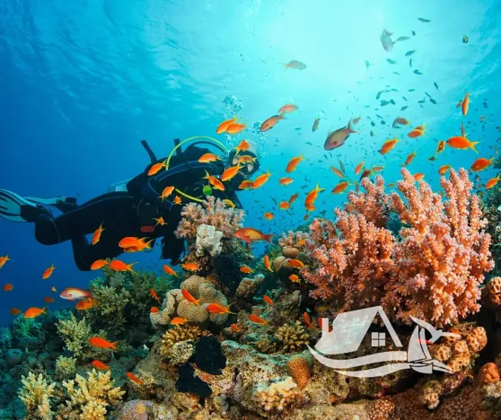 Prodej bytu 2+kk, Pattaya, Thajsko, 32 m2