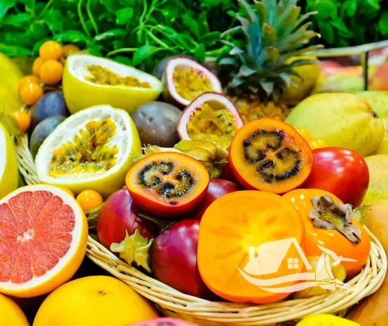 Prodej bytu 2+kk, Pattaya, Thajsko, 32 m2