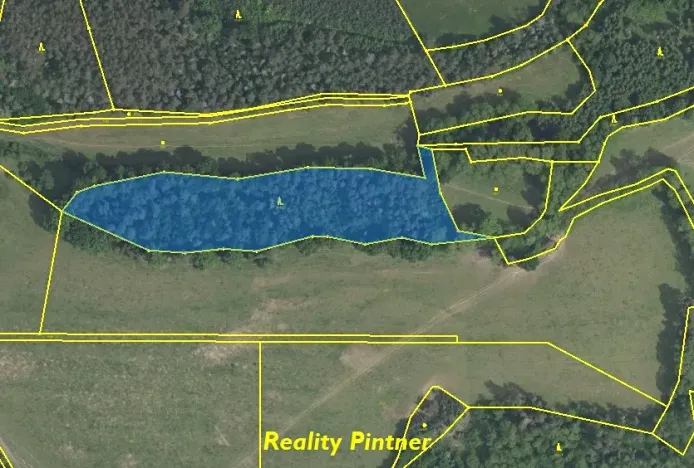 Prodej lesa, Svatý Jan, 11743 m2