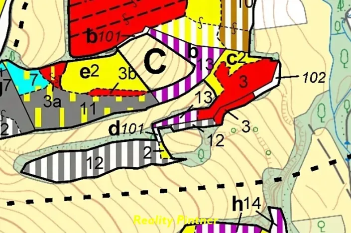 Prodej lesa, Svatý Jan, 11743 m2