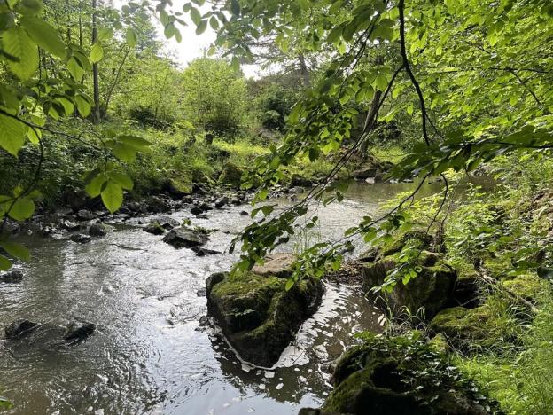 Prodej chaty, Běstvina, 70 m2