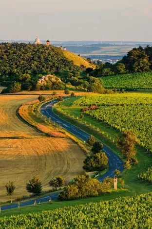 Prodej rodinného domu, Pasohlávky, 134 m2