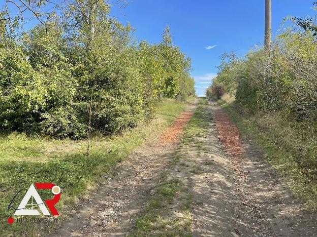 Prodej pole, Velešovice, 1567 m2