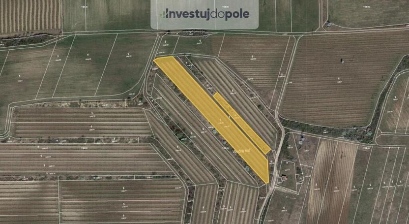 Prodej pole, Sedlec, 6224 m2