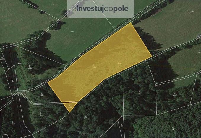 Prodej lesa, Cotkytle, 97502 m2