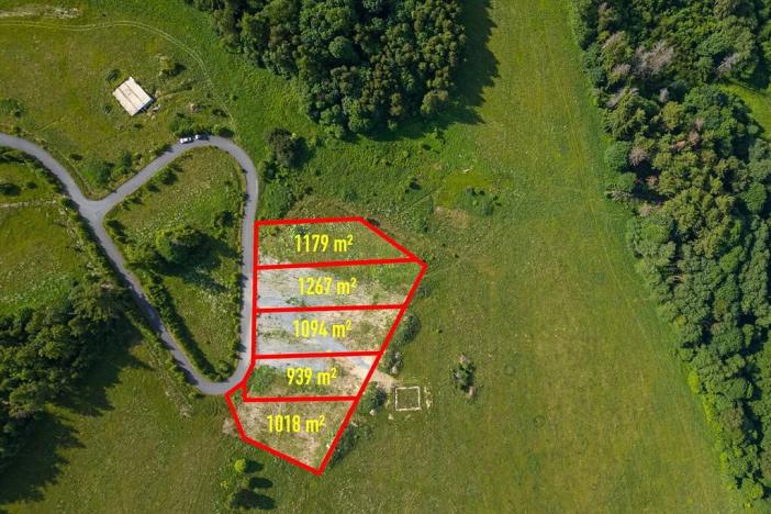 Prodej komerčního pozemku, Václavov u Bruntálu, 5497 m2