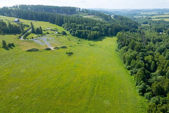 Prodej komerčního pozemku, Václavov u Bruntálu, 5497 m2
