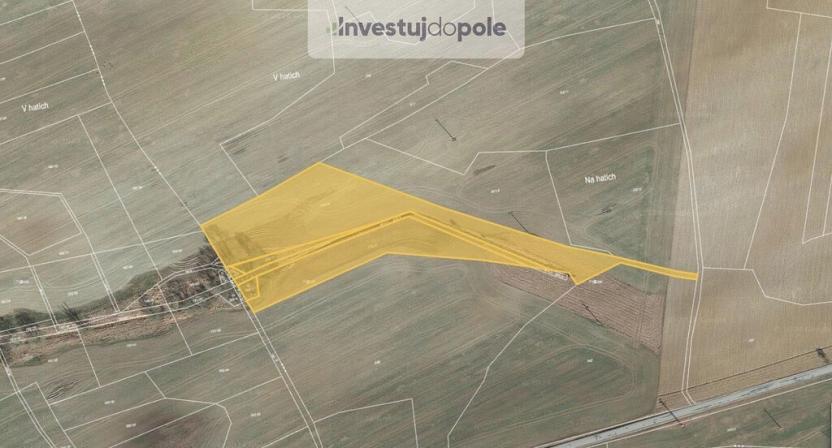 Prodej pole, Hracholusky, 12319 m2