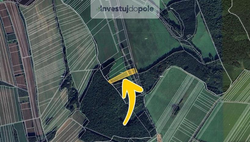 Prodej louky, Nezdenice, 2745 m2