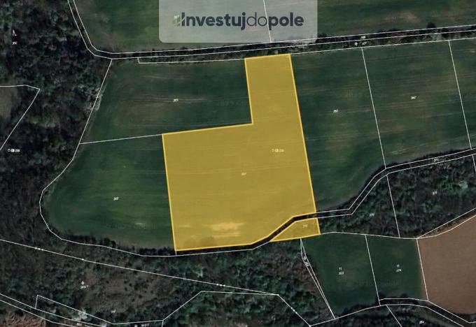 Prodej pole, Dobříč, 2430 m2