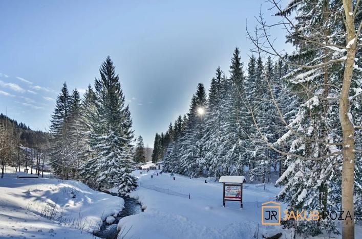 Prodej bytu 1+kk, Harrachov, 39 m2