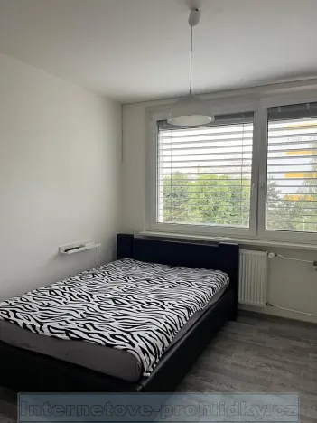 Pronájem pokoje, Praha - Řepy, Mrkvičkova, 19 m2