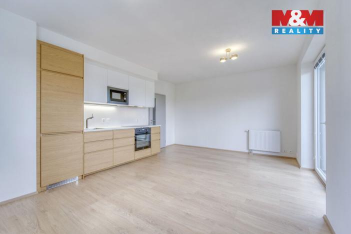 Pronájem bytu 1+kk, Heřmanova Huť - Vlkýš, U Pondu, 34 m2