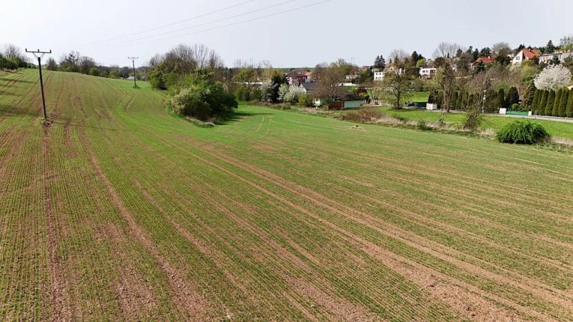 Prodej pozemku pro bydlení, Polepy, 13045 m2