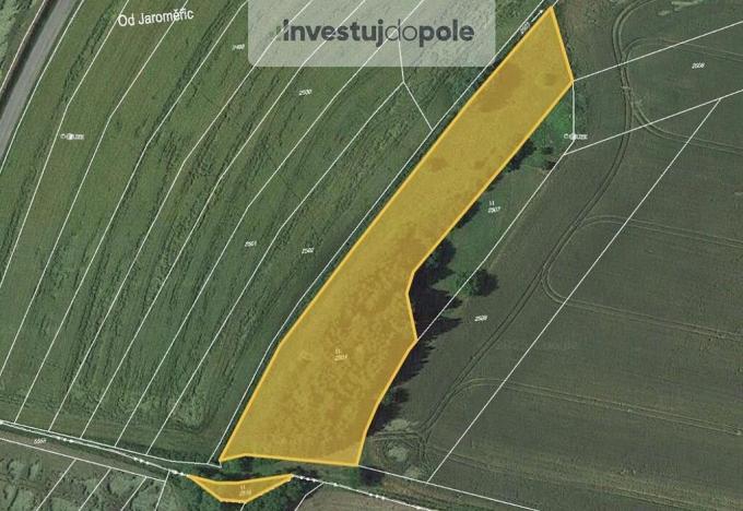 Prodej louky, Biskupice, 6604 m2