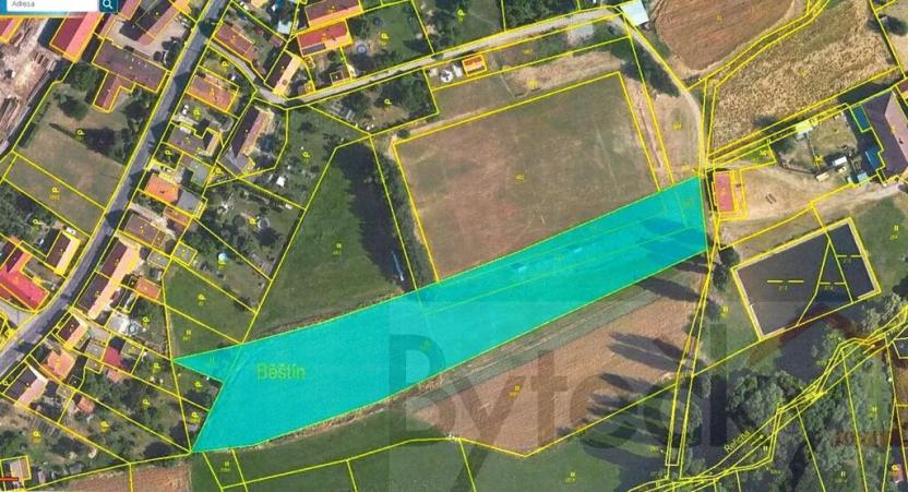 Prodej louky, Běštín, 8080 m2