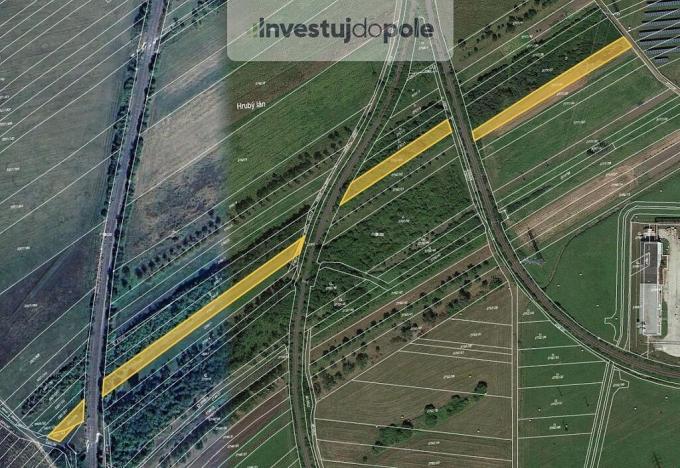 Prodej pole, Velká nad Veličkou, 1694 m2