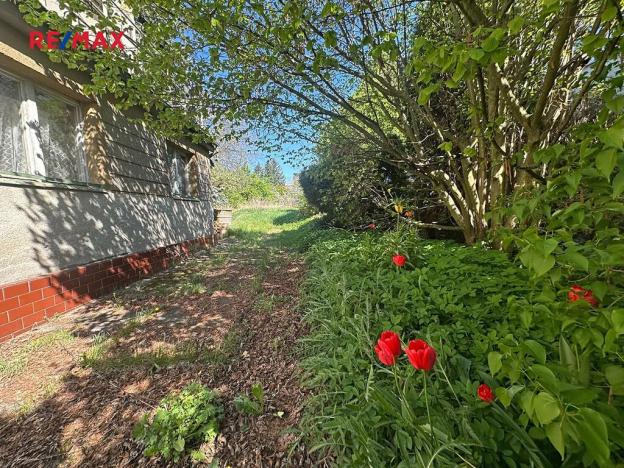 Prodej rodinného domu, Kralovice, Na Palcátech, 220 m2