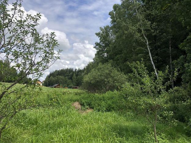 Prodej pole, Kaplice - Žďár, 2302 m2