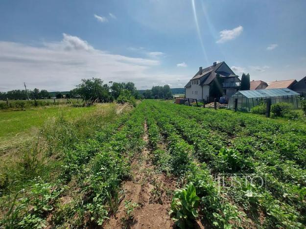 Prodej pozemku pro bydlení, Dražíč, 2918 m2