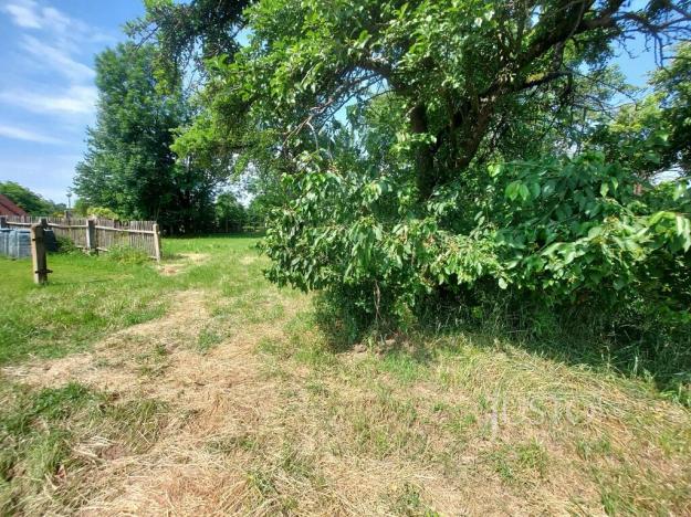 Prodej pozemku pro bydlení, Dražíč, 2918 m2