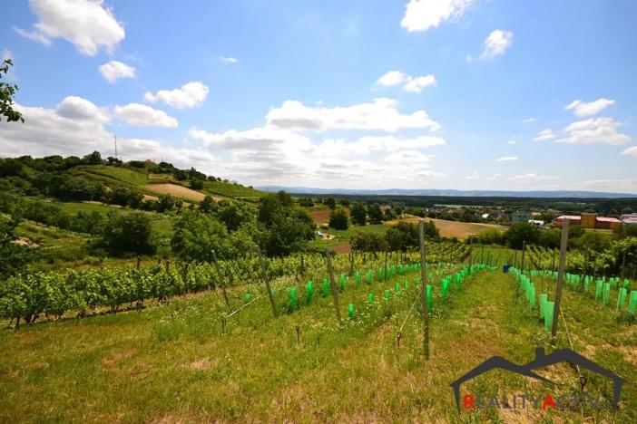 Prodej sadu/vinice, Bzenec, 2460 m2