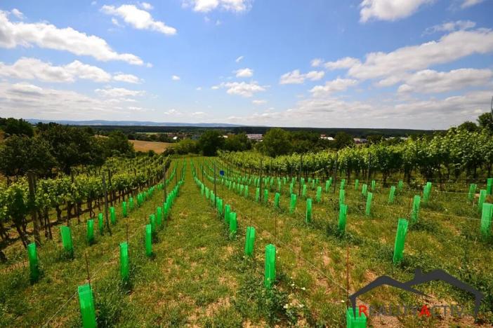 Prodej sadu/vinice, Bzenec, 2460 m2