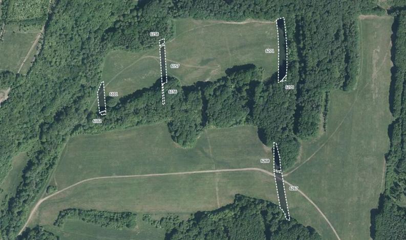 Prodej louky, Hřivínův Újezd, 20234 m2