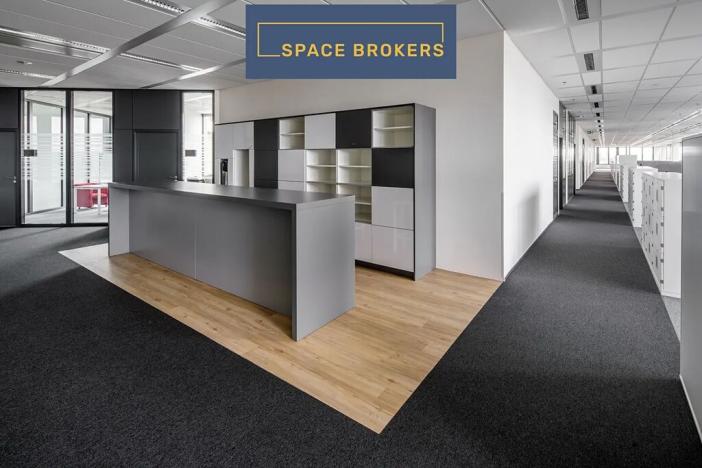 Pronájem kanceláře, Praha - Nusle, Pikrtova, 596 m2