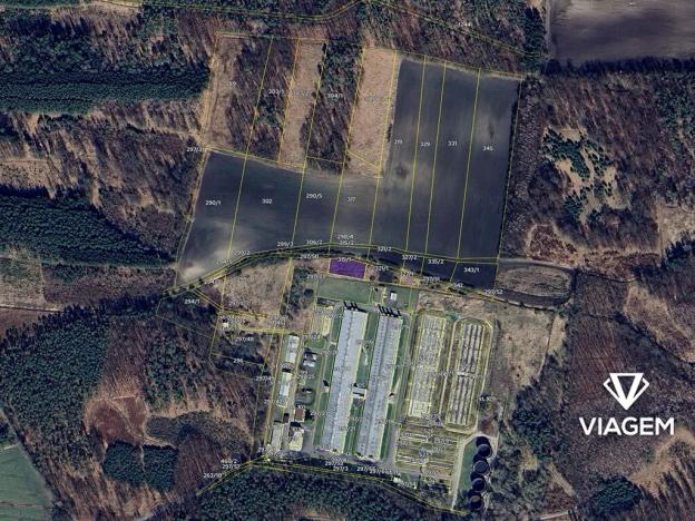 Prodej pole, Lipec, 1239 m2