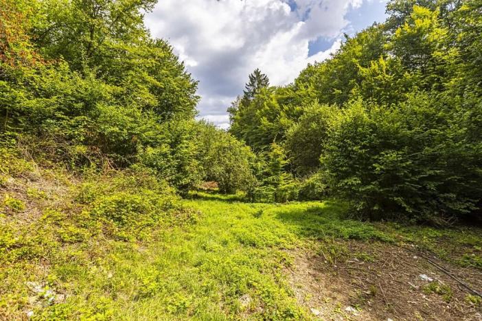 Prodej chaty, Jílové u Prahy, Husova, 74 m2