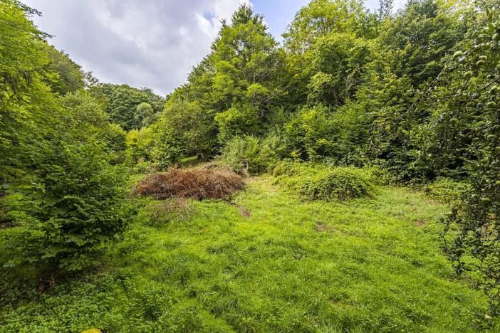 Prodej chaty, Jílové u Prahy, Husova, 74 m2