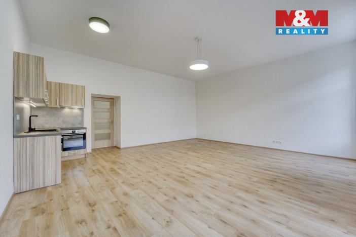 Pronájem bytu 1+kk, Plzeň - Jižní Předměstí, Americká, 59 m2