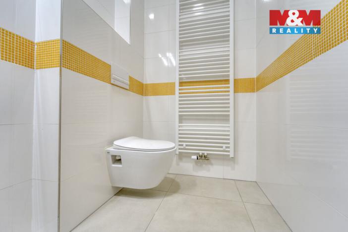 Pronájem bytu 1+kk, Plzeň - Jižní Předměstí, Americká, 59 m2