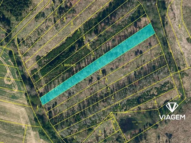 Prodej podílu lesa, Děkanovice, 948 m2